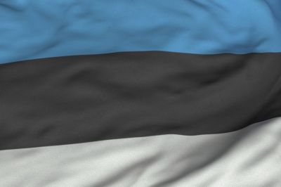 Estonian Flag