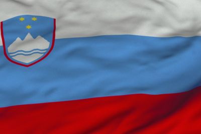 Slovenian Flag